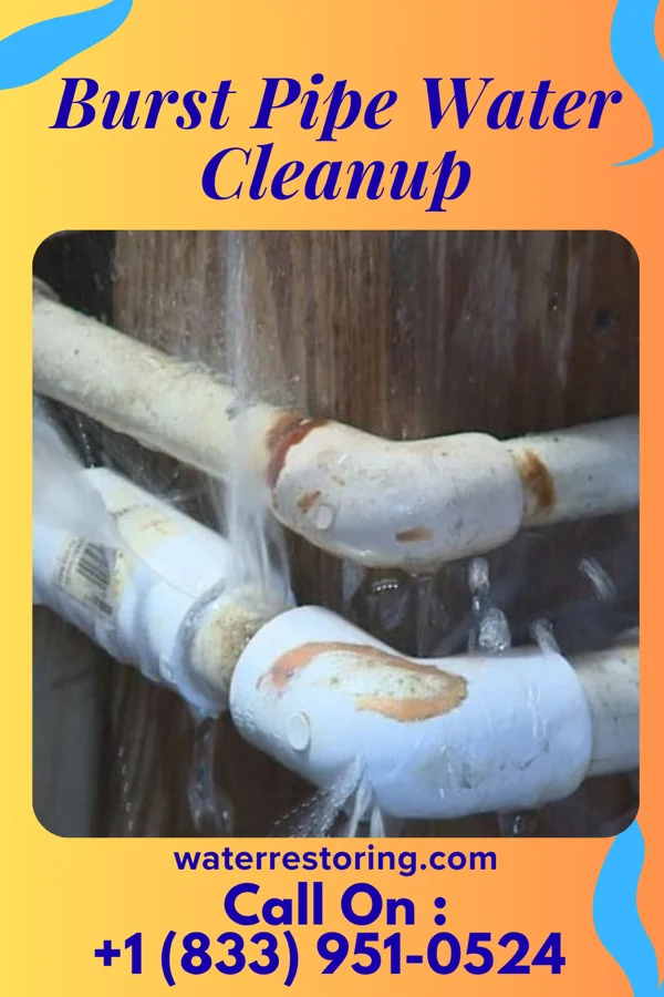 Burst Pipe Water Cleanup in Cuba, AL