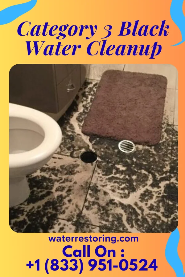 Category 3 Black Water Cleanup in Cuba, AL