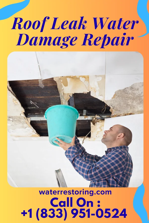 Roof Leak Water Damage Repair in Cuba, AL