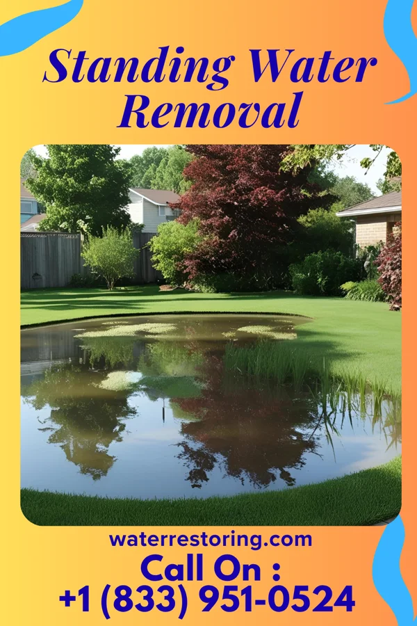 Standing Water Removal in Cuba, AL